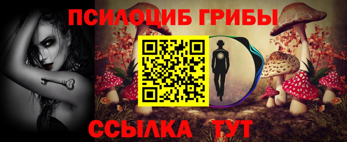 Галлюциногенные грибы прущие грибы Артёмовский