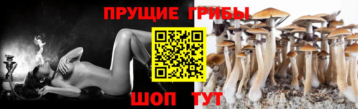 Псилоцибиновые грибы Psilocybine cubensis  Галлюциногенные грибы Cubensis  Вход с VPN  наркота  Артёмовский 
